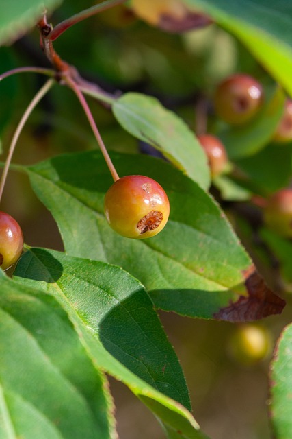 欧美一些国 欧美一些国