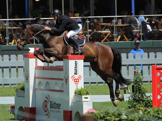 书写历史 书写历史