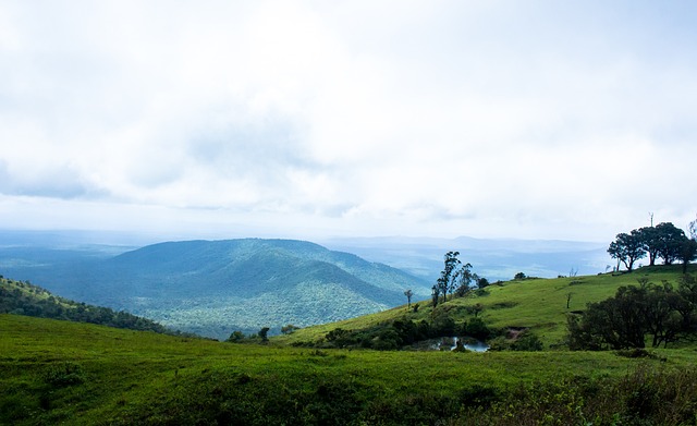 与技术顾问 与技术顾问