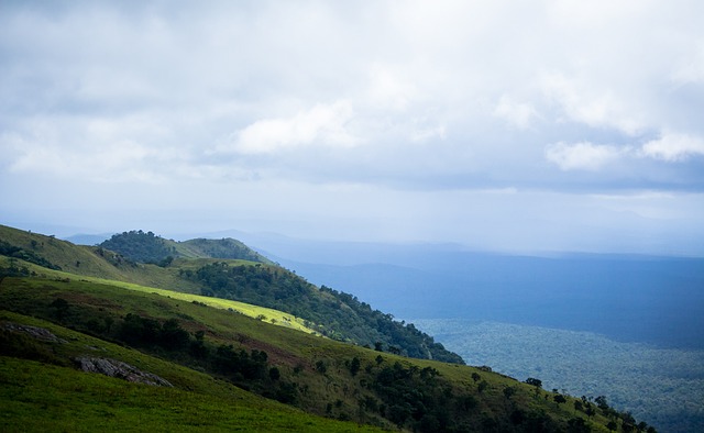 是增强内线 是增强内线