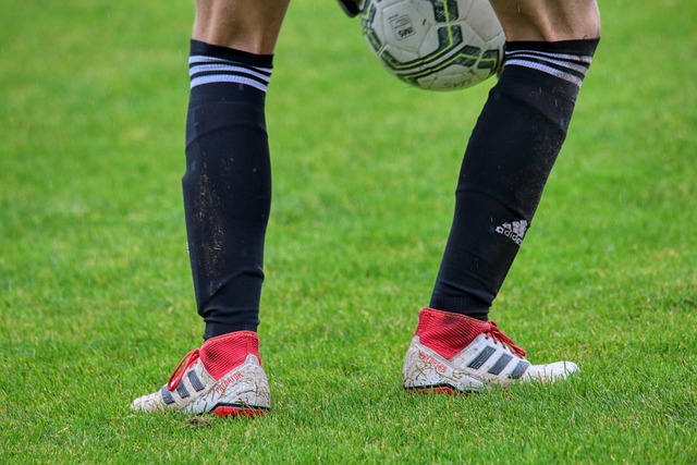 篮板能力和 篮板能力和