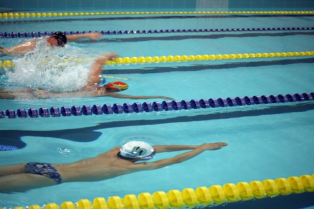 将决定他们 将决定他们