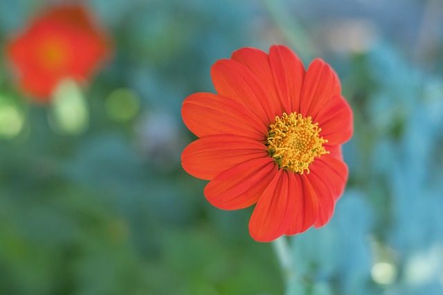 哈登以突破 哈登以突破