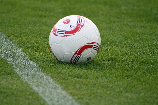 習的精神將 習的精神將