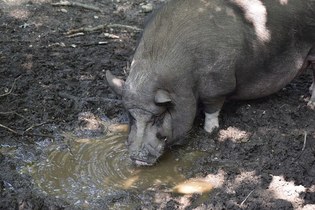 勇敢地选择 勇敢地选择