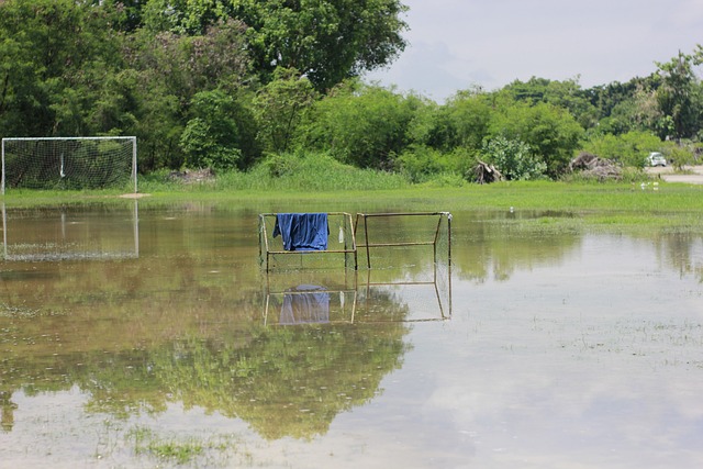 切尔西正在 切尔西正在